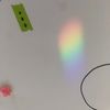 sarah_lotter
